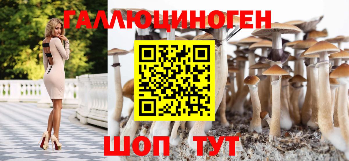 Галлюциногенные грибы MAGIC MUSHROOMS Реутов